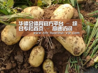 种植基地六