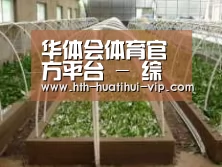 环境展示五