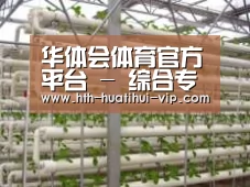 环境展示六
